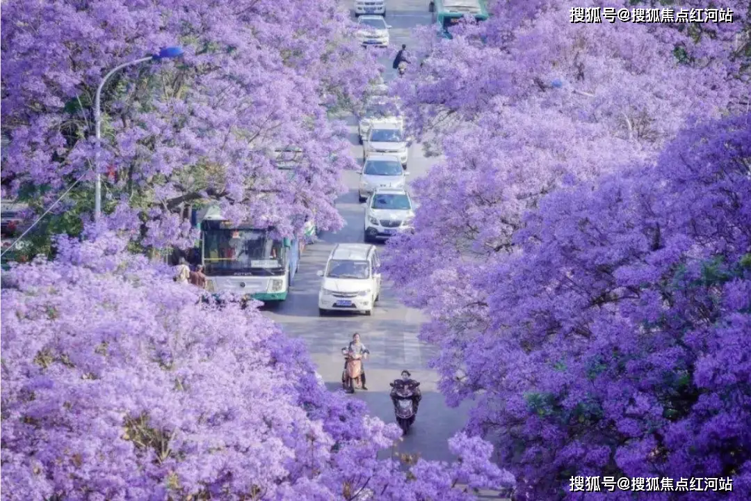 特大城市金钱修改器-特大城市的金钱修改器：梦想与挣扎背后的隐喻